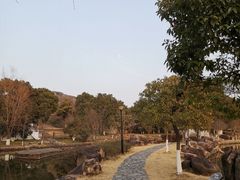 -白马涧龙池景区
