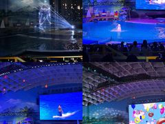 -海合安武汉极地海洋公园