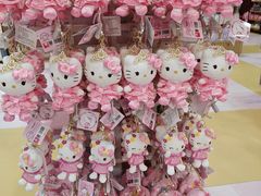 -安吉Hello Kitty乐园