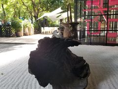 -T館·花园艺术餐厅