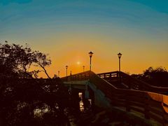 -宝安西湾红树林湿地公园