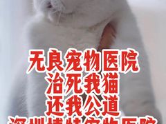 -博特宠物医院24h犬猫全科.骨科·异宠