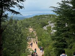 -长虫山生态公园风景林
