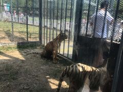 -无锡动物园·太湖欢乐园