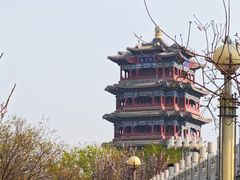 -永定河休闲森林公园