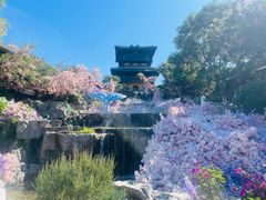 -茅山东方盐湖城景区