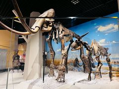 -国家自然博物馆