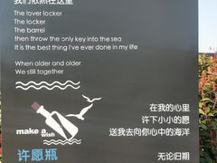 -琴岛之星摩天轮