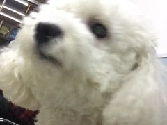 -中农大我爱我爱24h动物医院·中医针灸·猫专科·骨科医疗中心(双井店)