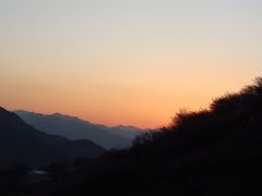 -新建村梅花