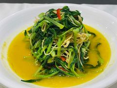 鸡毛菜百叶丝-良永小菜(平凉路店)