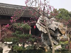 -檀园