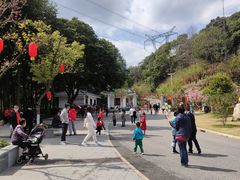-广州市帽峰山景区