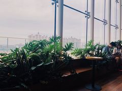 -Seesaw Coffee(朝阳大悦城店)