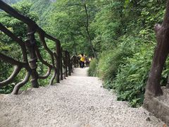 -鹿院坪生态旅游景区
