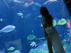 -暹罗海洋世界