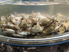 -四海蒸鲜蒸汽海鲜自助(北戴河店)