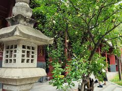 -洛阳白马寺