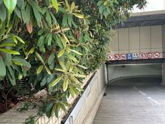-科学会堂思南楼-停车场