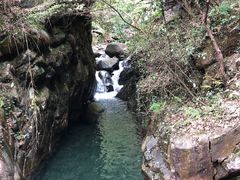 -大奇山国家森林公园