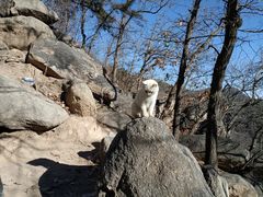 -天津盘山风景名胜区