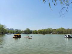 -达活泉公园
