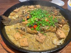 -老板恋上鱼(恒隆广场店)