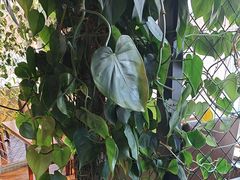 -盐帮食坊•小河帮川菜(四川师大店)