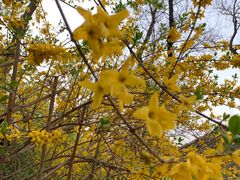 -北门涮肉·炭火铜锅涮肉(什刹海店)