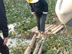 -瑶湖郊野森林公园