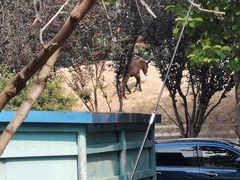 -酷鱼垂钓CLUB(朝阳区博大路店 )