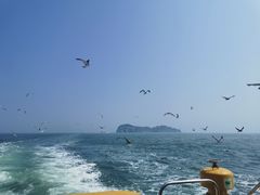 -海驴岛(荣成市)