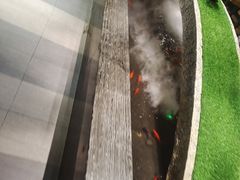 -湊湊火锅·茶憩(石家庄万象城店)