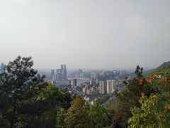 -南山植物园
