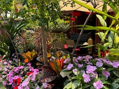 -山水茶艺馆·点心粤菜·30年老字号