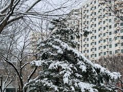 -知春路(地铁站)