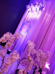 -保定金沙芝柏婚礼策划