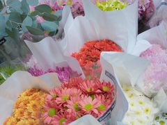 -循礼门鲜花花市(武汉循礼门店)