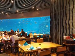 大堂-海棠湾洲际-涛·海底餐厅·美人鱼·自助餐·海底隧道