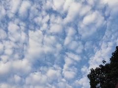 -大雁塔文化休闲景区-北广场