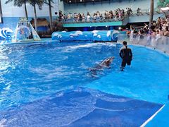 -海合安成都极地海洋公园