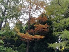 -苏州河梦清园环保主题公园