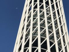 -赏点粤式点心(广州塔店)