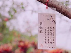 -丹樱生态园