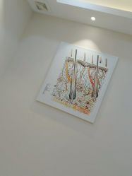 -雍禾植发全国连锁