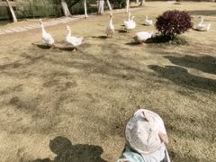 -惠洛克国际儿童之家(绿博园中心)