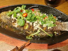 -鸽子窝(黄村店)