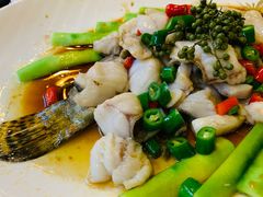 -猪肉婆私房菜(容桂总店)
