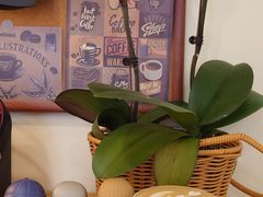 拿铁-E SPECIAL COFFEE 别样