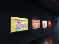 -罗红摄影艺术馆